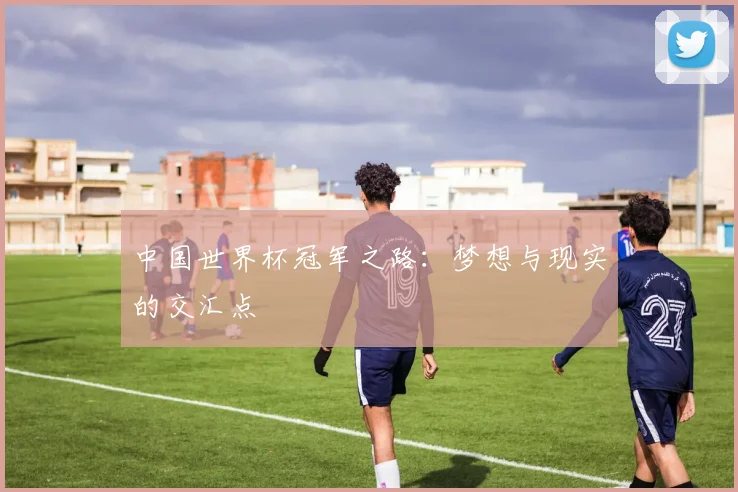 中国世界杯冠军之路：梦想与现实的交汇点