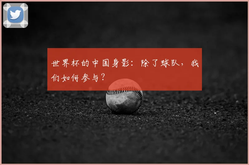 世界杯的中国身影：除了球队，我们如何参与？