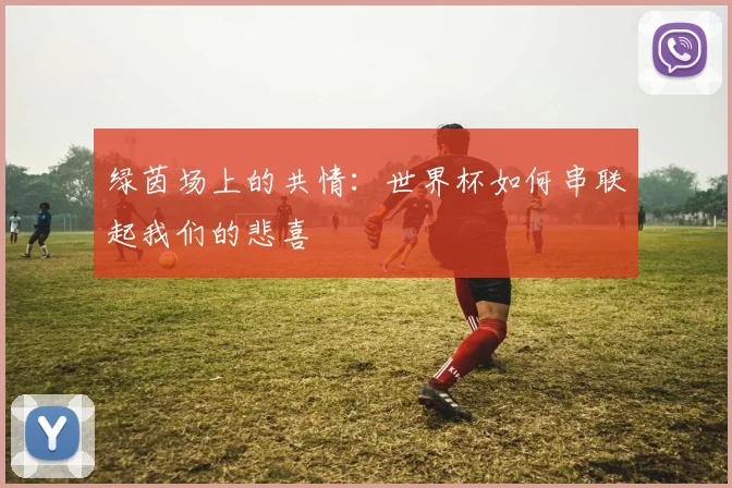 绿茵场上的共情：世界杯如何串联起我们的悲喜
