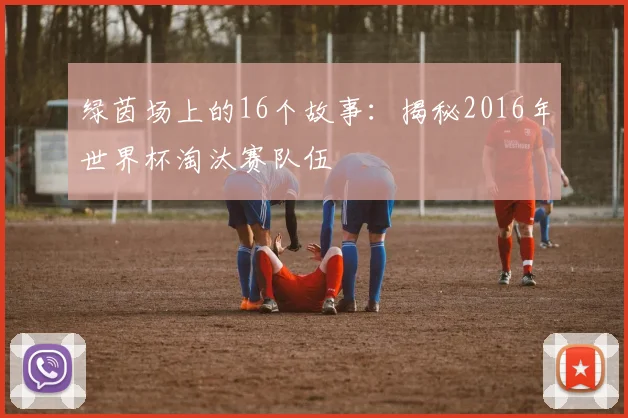 绿茵场上的16个故事：揭秘2016年世界杯淘汰赛队伍
