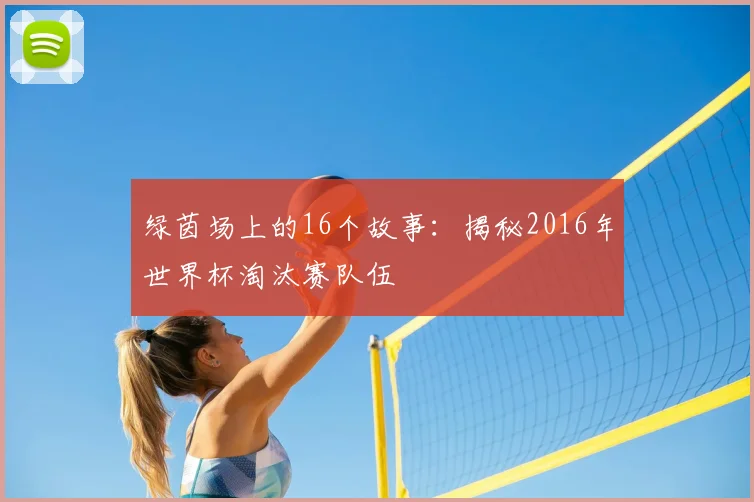 绿茵场上的16个故事：揭秘2016年世界杯淘汰赛队伍