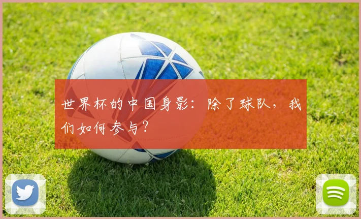 世界杯的中国身影：除了球队，我们如何参与？