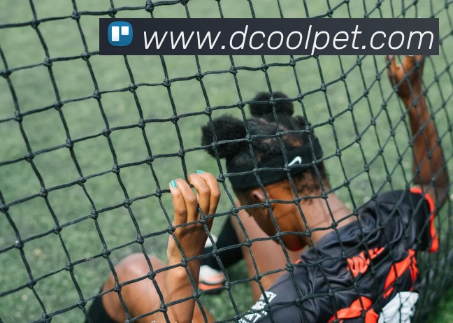 九游手机官网入口平台生态图