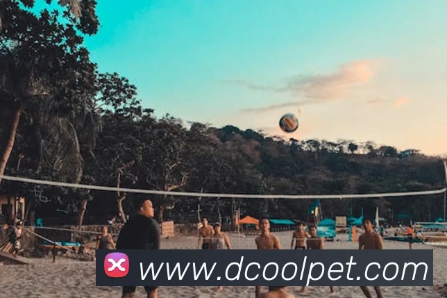 九游手机官网入口全站App